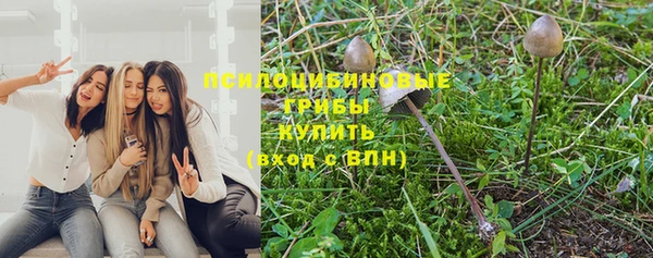 прущая мука Алзамай