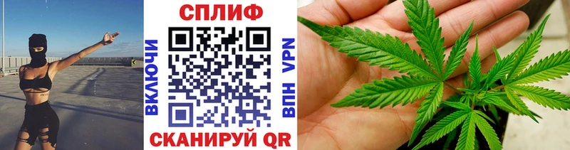 Марихуана план  где продают наркотики  ссылка на мегу зеркало  Кыштым 